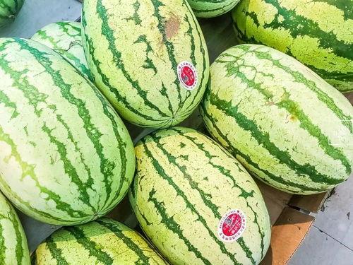 吃瓜视频做特效