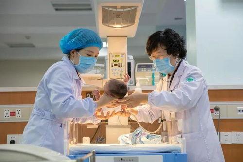 丽水护士吃瓜,一场网络热议背后的真相与反思