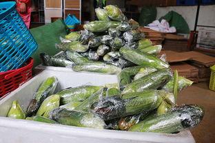 电商培训吃瓜,揭秘吃瓜群众的购物奥秘