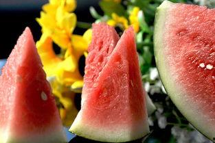 月经期间可以吃银瓜吗,月经期间适宜食用银瓜的饮食建议