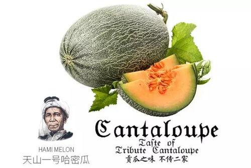 灵性吃瓜群众广告,广告背后的神秘力量