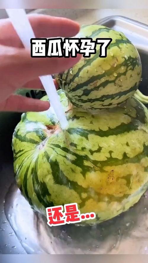 搞笑吃瓜高手视频,带你领略视频笑料横生的欢乐时光