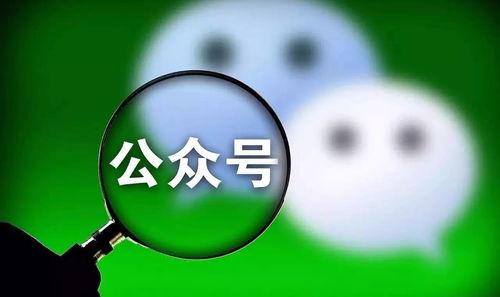 迅哥吃瓜公众号,揭秘娱乐圈最新热点,带你领略明星幕后故事