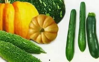 瓜爬树上吃瓜,瓜爬树上的奇妙一幕