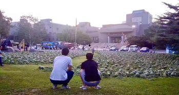 吃瓜河北美院,河北美院背后的故事与争议