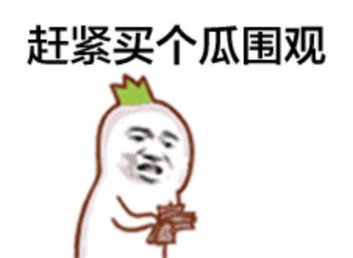 二饼吃瓜群众,揭秘娱乐圈幕后风云