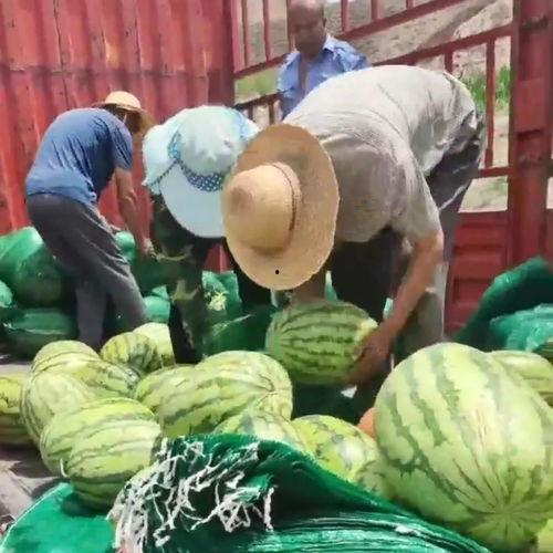 武平吃瓜群众,揭秘当地热点事件背后的故事