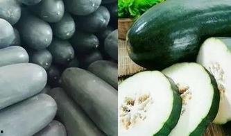 吃瓜保鲜,保鲜技巧大揭秘