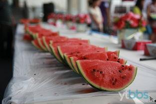 下班后吃大瓜,揭秘那些让人大呼过瘾的“大瓜”故事