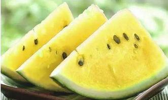 吃货大瓜头,揭秘美食界的那些事儿