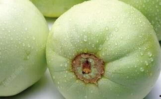 糖尿瓜可以吃吗,糖尿瓜的适宜与食用指南