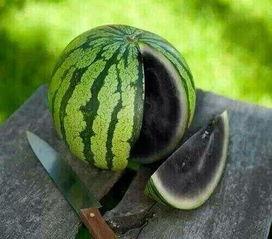 神秘的吃瓜,揭秘背后惊人真相