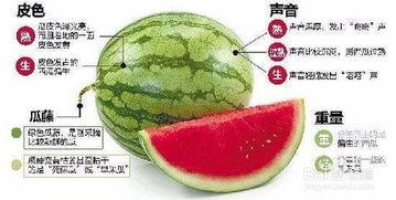 微信吃瓜生瓜和熟瓜,吃瓜生瓜与熟瓜,揭秘网络舆论的甜蜜与苦涩