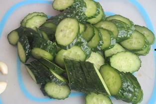 芙蓉吃瓜,揭秘娱乐圈背后的那些事儿