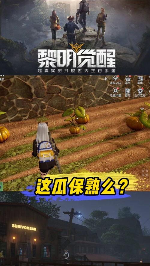 黎明觉醒吃瓜,揭秘吃瓜群众的狂欢盛宴