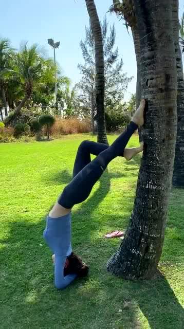 倒立吃麻瓜,麻瓜界的奇幻食趣之旅