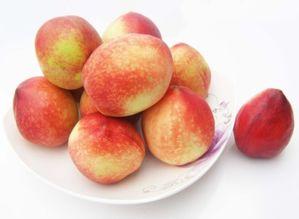 吃油桃可以吃瓜吗